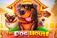 Star Joker — Sloty Casino pokies